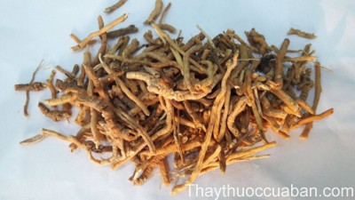 H&igrave;nh ảnh vị thuốc viễn tr&iacute; chế